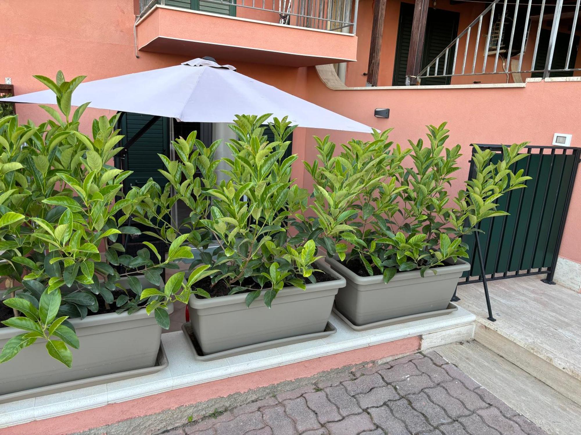 Casa Vacanza Scala Dei Turchi 雷阿尔蒙特 外观 照片